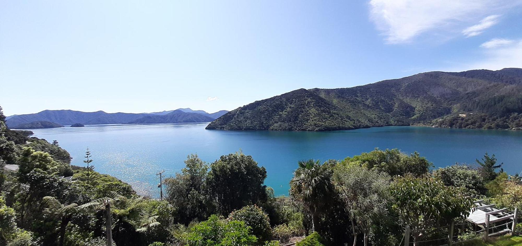 A Sea View B&B Picton Exterior photo